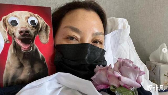 杨紫琼|女星杨紫琼确诊新冠，在《警察故事3》中曾说过一句话让人起敬