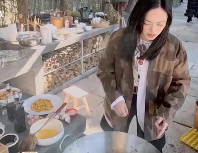 姚晨|《我们的客栈》首播引争议,庄达菲过于蠢,姚晨敷衍了事更过分