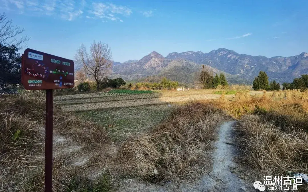 高峰|楠溪江深处秘藏的这条小众古道，风光秀丽惹人醉，大多数人都还不知道