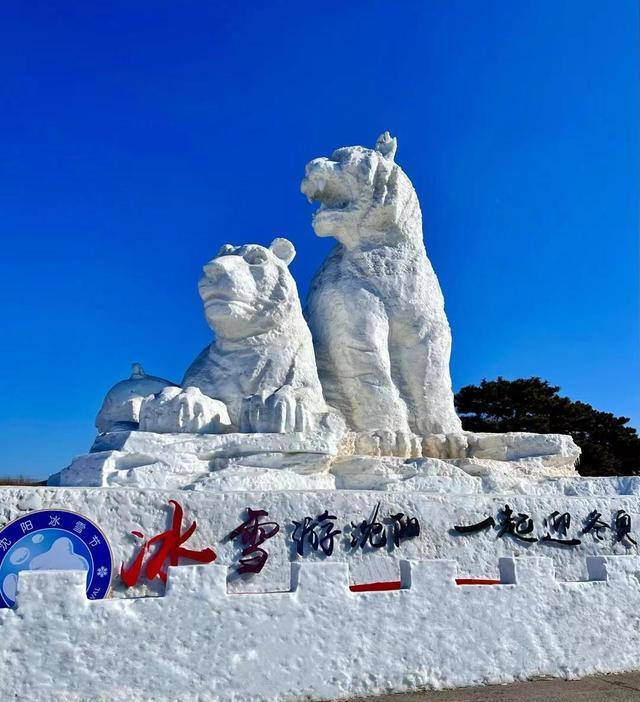 摄影|手机拍照太便捷了,高端手机将来一定取代相机?专业摄影师说……