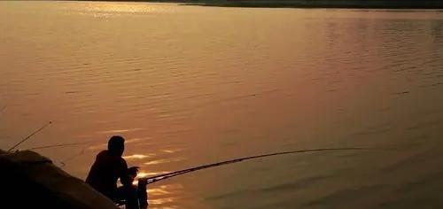 长江|江苏仨男子晚上在长江钓鱼，被黑科技锁定！政府为此投入700万元