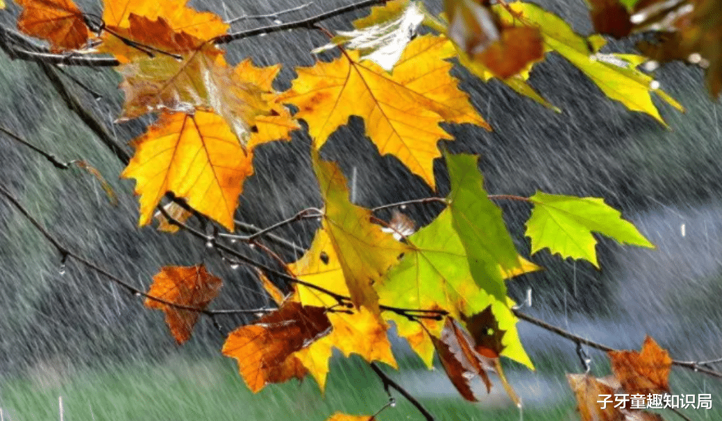 卫星|家家都用的卫星锅,为何一夜之间全面禁用,背后暗藏了什么玄机