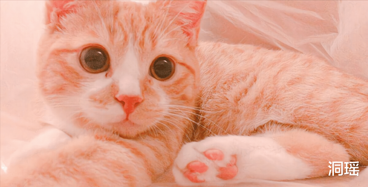 大理古城|对我国永久免签的地方，中国公民能随便进出，只要遵循2条规定