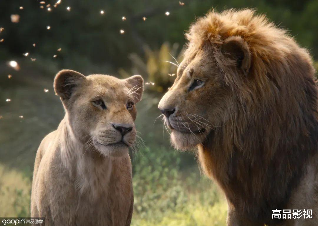 黄渤|《阿凡达2》飙升全球票房第四!或将超越《泰坦尼克号》登上季军宝座!