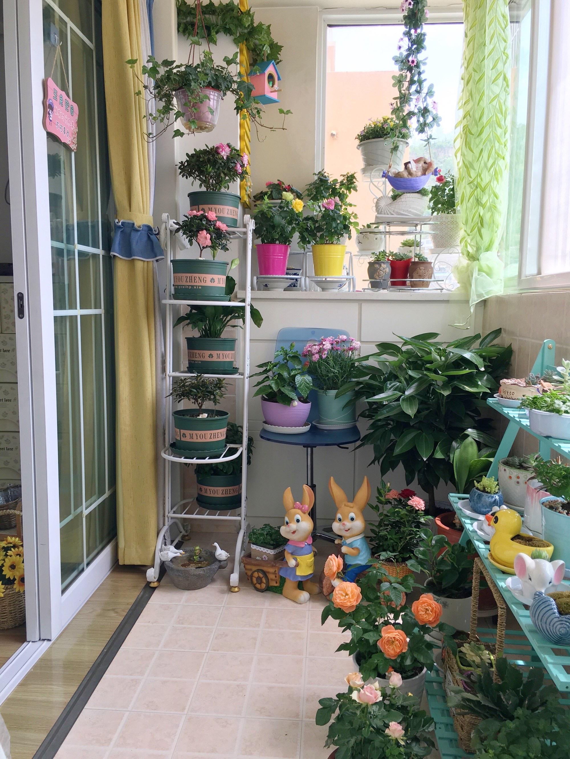 怎么把小户型的生活阳台变成花园？