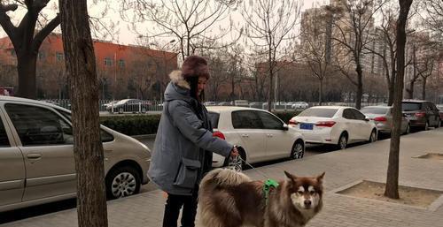 王一博|美女保姆作陪，熬走了王思聪多任女友，这个女人何德何能？