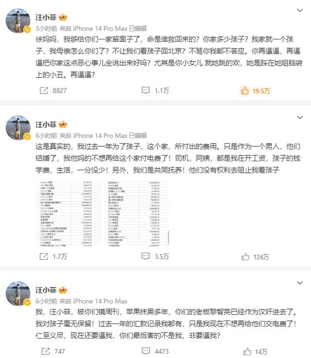 汪小菲|难怪大S认怂，详解汪小菲的这份“费用支出表”，信息量可真大！