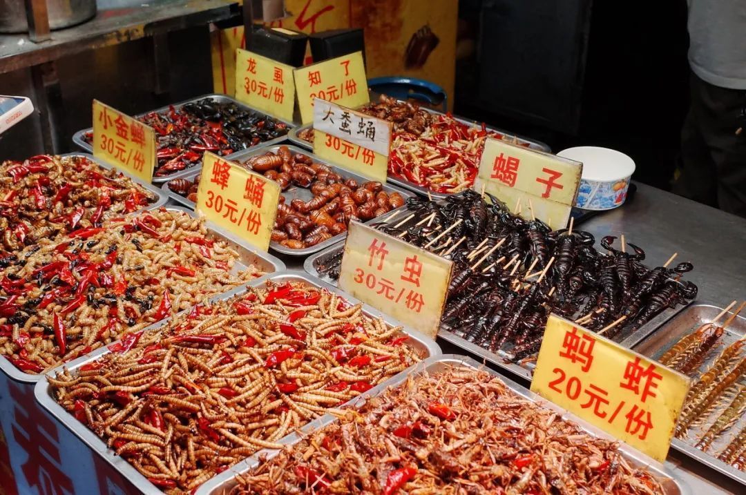 甘南|就没见过哪个过气网红,还能好看成这样的