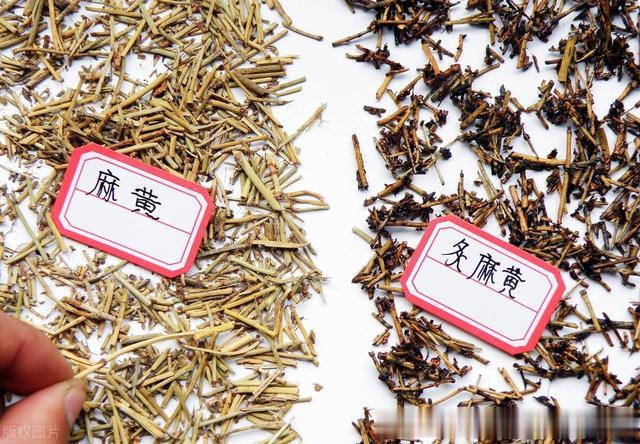 按摩|总是咳白痰，遇冷天气加重，分享一个好用中成药，温化寒痰