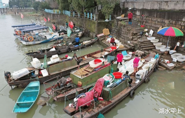 长江|长江十年禁渔后!鱼会泛滥么?还可以钓鱼么?必须坚持一个原则