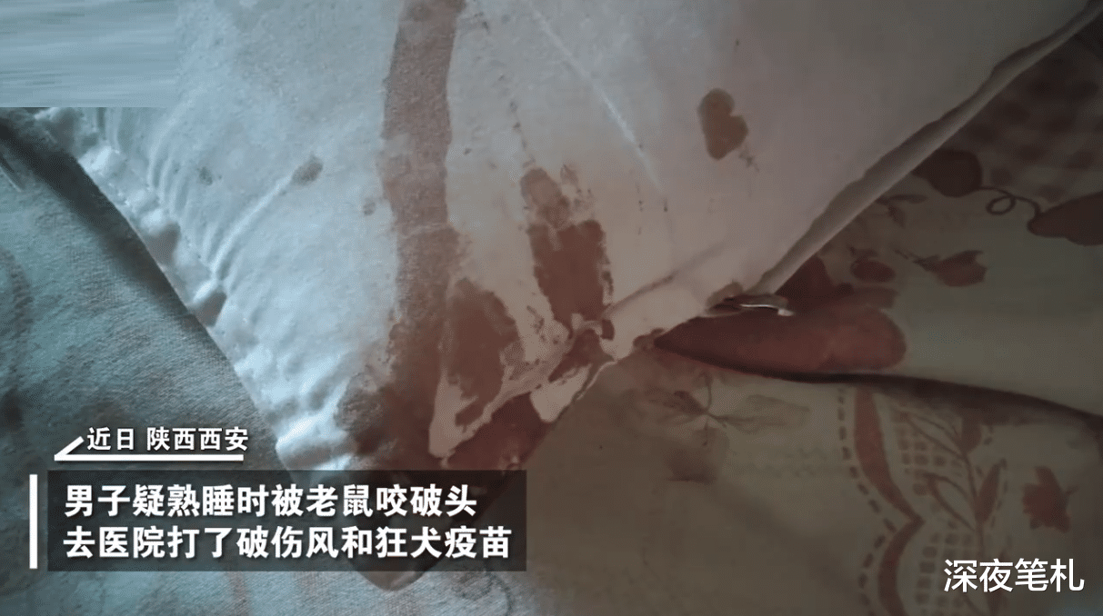 陕西西安,男子睡觉疑被老鼠咬伤:耳朵、后脑被咬破血流了一脖子