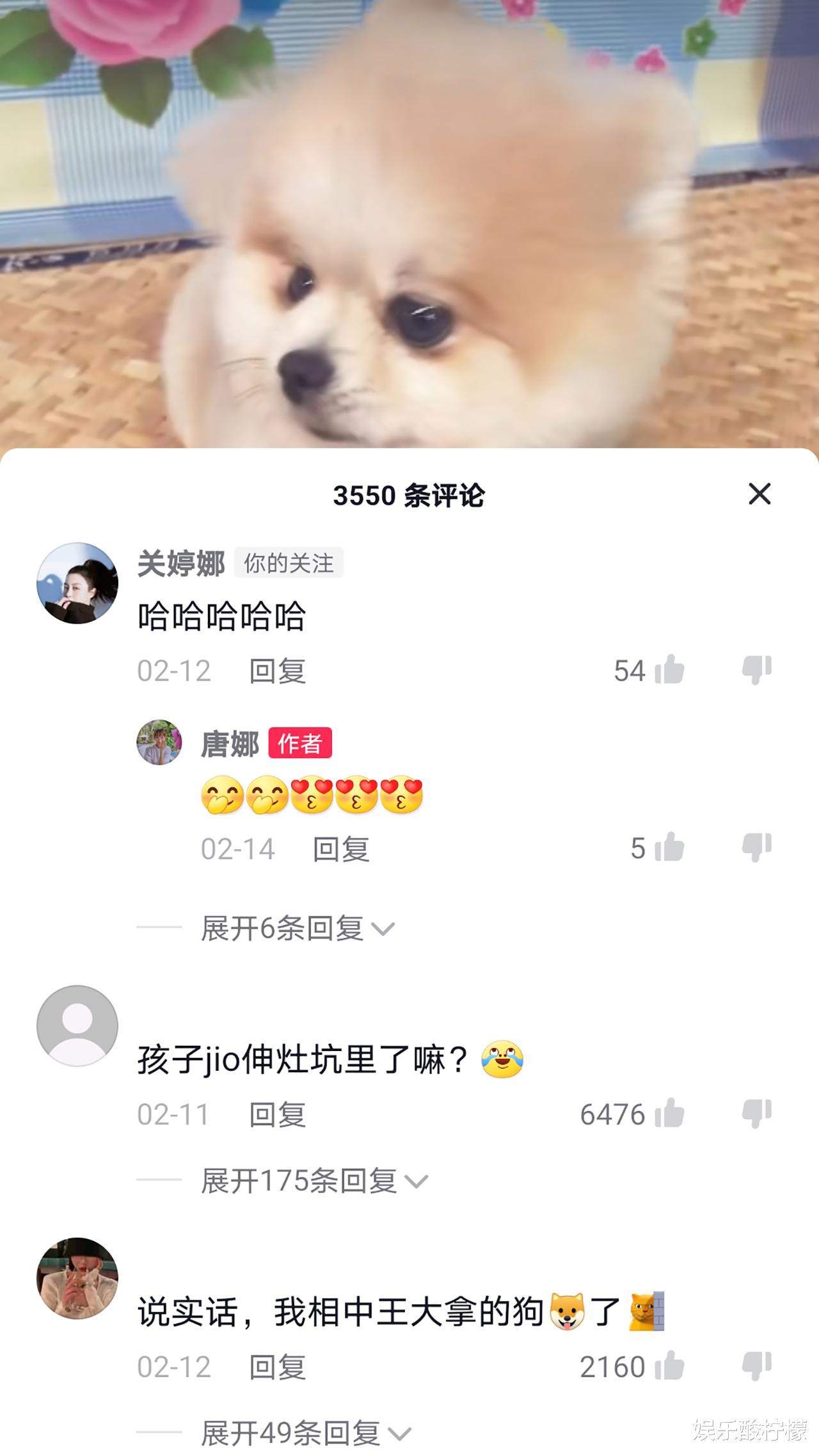 乡村爱情14|苏玉红退出《乡村爱情14》,隔空喊话王长贵,赵本山的小狗火了