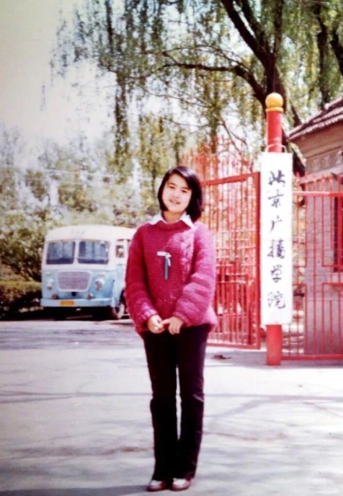 刘纯燕|央视王宁:一脸严肃主持26年,小妻子是我的开心果,余生不会负她