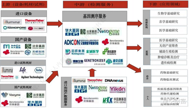 基因检测,火热的另一面