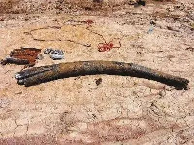 |钓鱼佬有多厉害,曾发现犯罪团伙,曾钓到古化石……