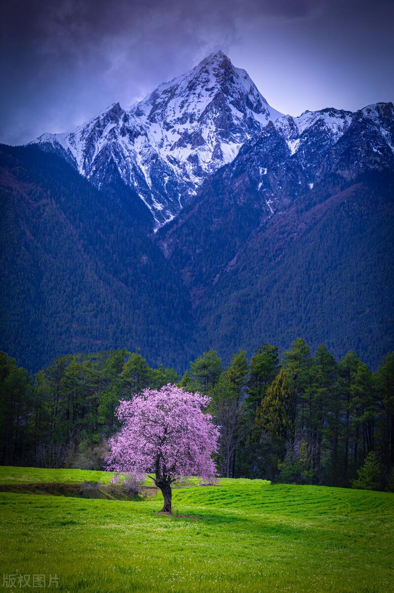 美丽|中国景观有多惊艳？这33个，去过一半，此生无憾，你去过哪几个？