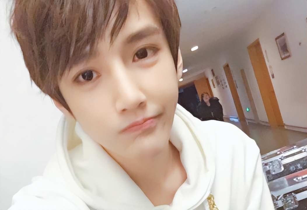 整容|审美堪忧！这10位小鲜肉，“整丑”成锥子脸，真是捡芝麻丢西瓜