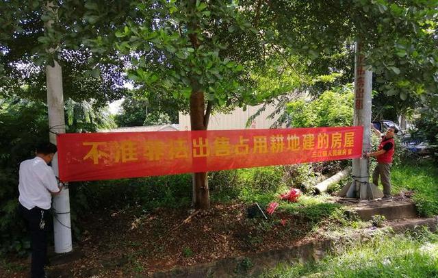 宅基地|农村房屋或将发“证书”?不符合条件或不予发放,村民应关注留意