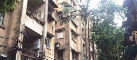 电梯房和楼梯房,未来哪一个会更保值,北大教授给出了答案