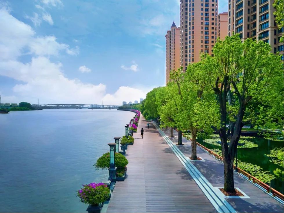 东部楼市来了TOP级高手！买星河湾“原始股”的机会，抓紧了