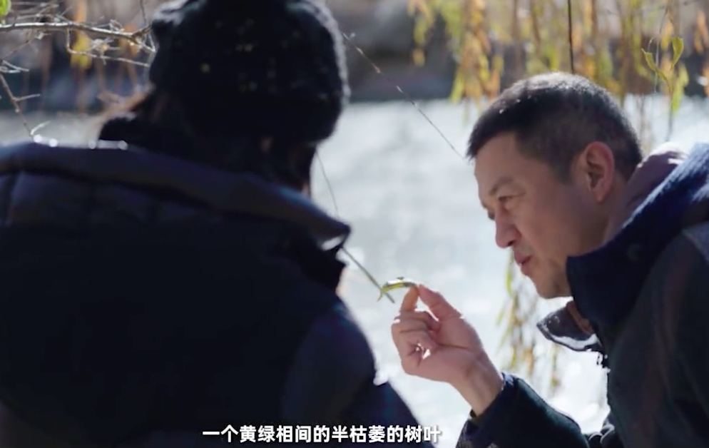 李亚鹏|李亚鹏带妻女感受大雪节气,被赞有烟火气,二胎正面出镜白皙可人