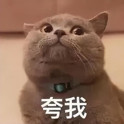 网络安全|全网热议,不换手机的5大原因,最后一个把我看笑了