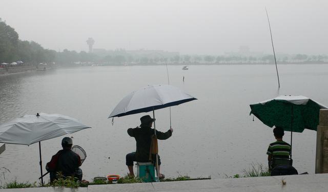 |下雨天就是“爆护天”，试试这3个技巧，渔获猛增，轻松翻倍