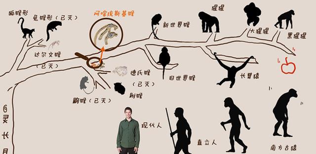 野生动物也会杂交，繁殖出的后代有多惨？该禁止动物杂交吗？