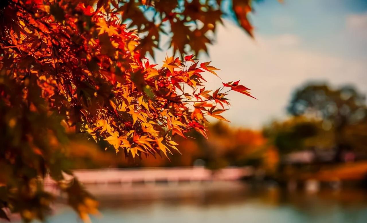 想撩到中年女人，?方法很简单，在微信上发三个字就搞定了