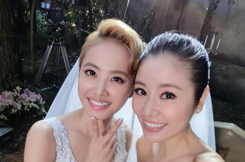 蔡依林|为何蔡依林、SHE等台星立场不正?因为年入上亿,不在乎内地市场