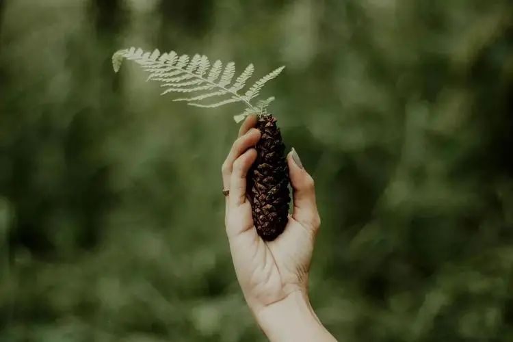 uu跑腿|妈妈付出很多，孩子却不领情，要用对技巧：爱他人之前先爱自己