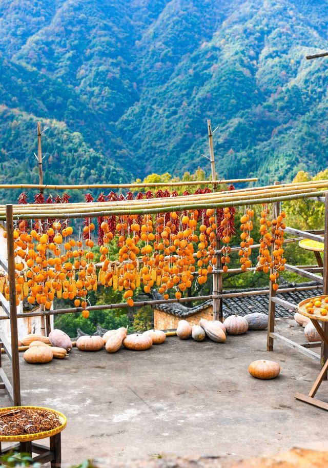 成都|挂在山崖上的古村，绝无仅有的晒秋景象，这里有向往的田园生活！