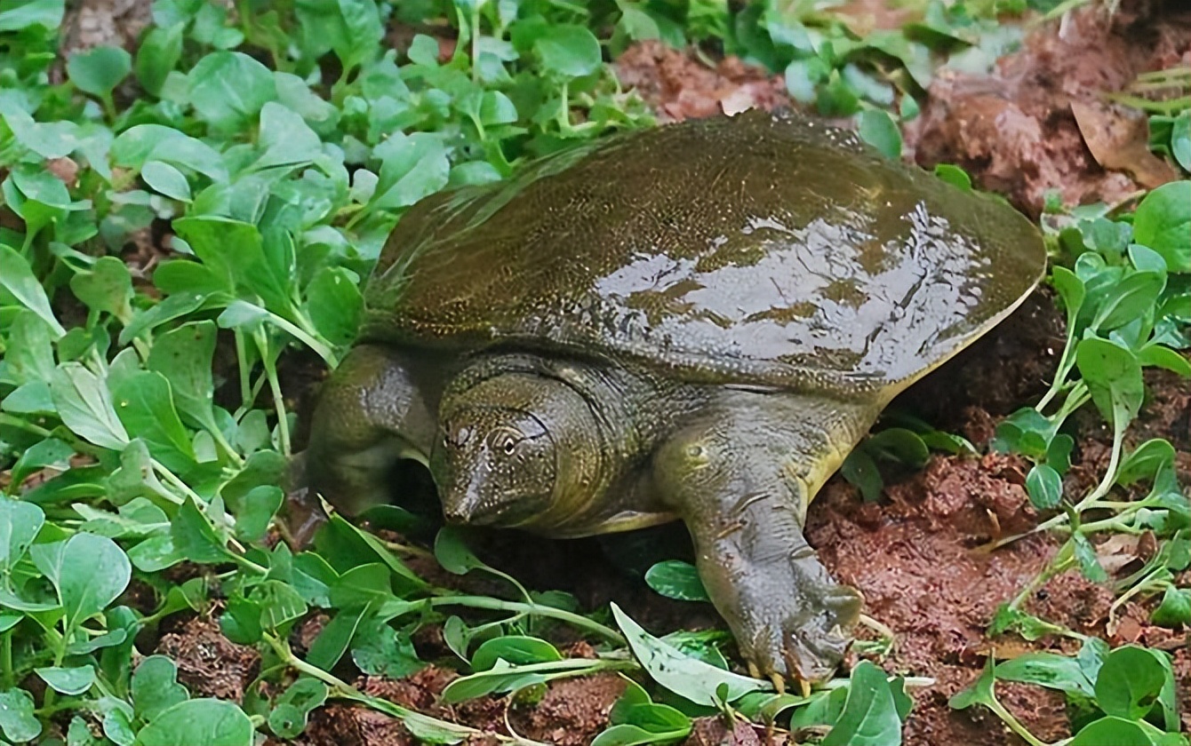 |库钓钓“白板”之经验总结，前车之鉴，钓友们别犯类似错误