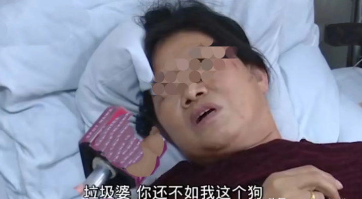 深圳,保洁员看到一女子在公厕的洗手盆里,给自己的狗洗澡