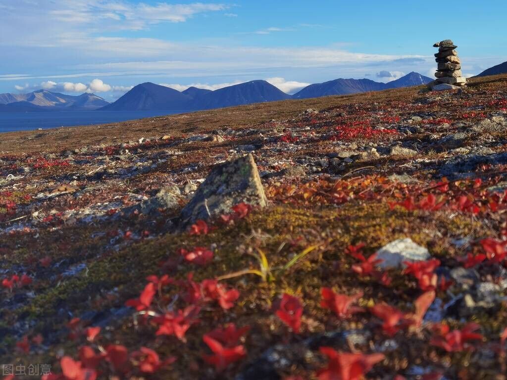 北极圈|建在北极圈附近的旅游营地，你敢来挑战吗？