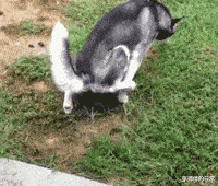 “好不容易把房贷车贷给还完了,你要让我重新还一遍?”