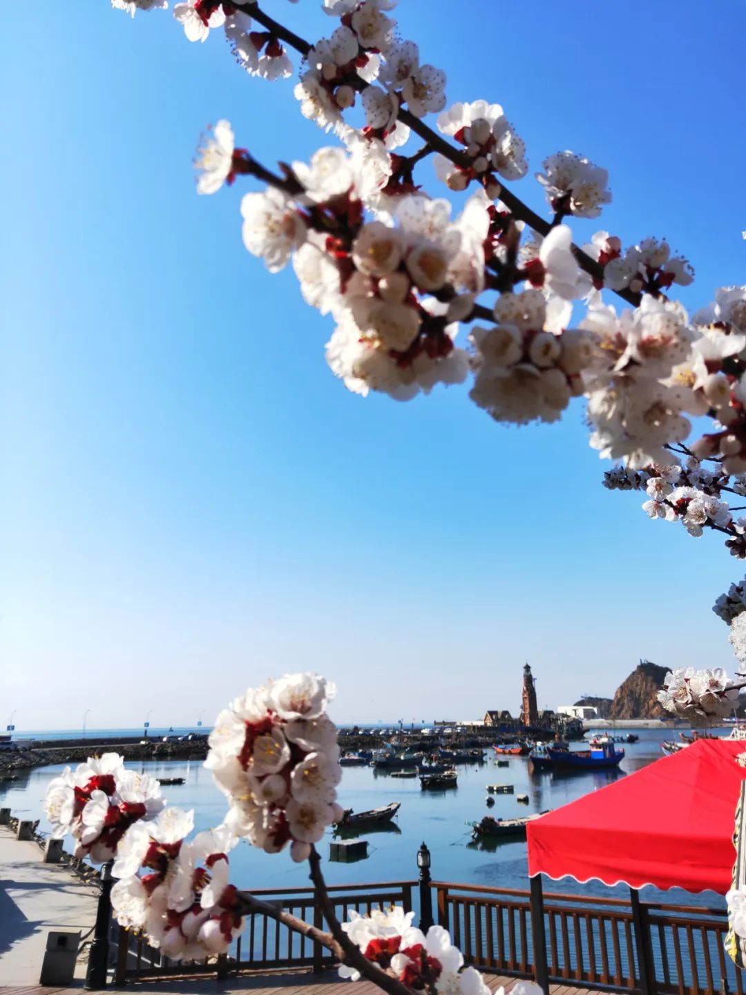 贵州|想去大连看海了