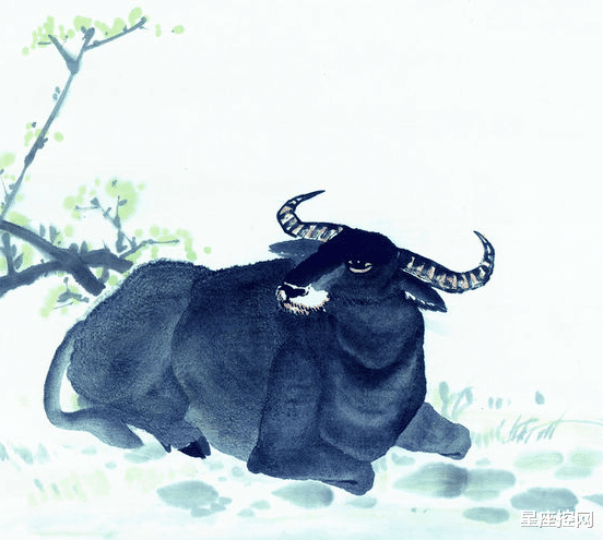 生肖|啥生肖的人，事业运旺，虎年低开高走，收入一路飙升，大吉大利