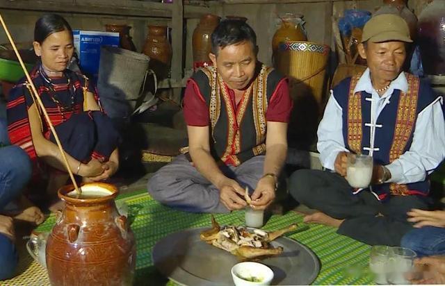 越南有种非常奇特的“酒树”,砍开树干,伤口就能流出美酒