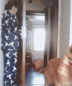 |“钓鱼被咬了，不过钓到了一条招财龙鱼，不亏啊”评论沸腾了