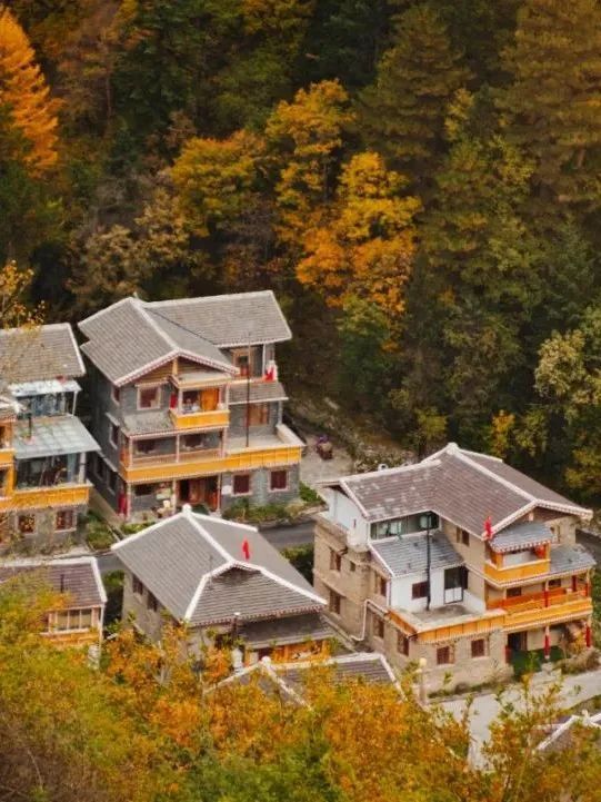 川西|1次秋日川西,相当于走遍半个中国