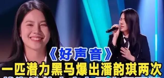 海豚|好声音2022：预测冠军学员，四支战队强弱分明，黑马茹今脱颖而出