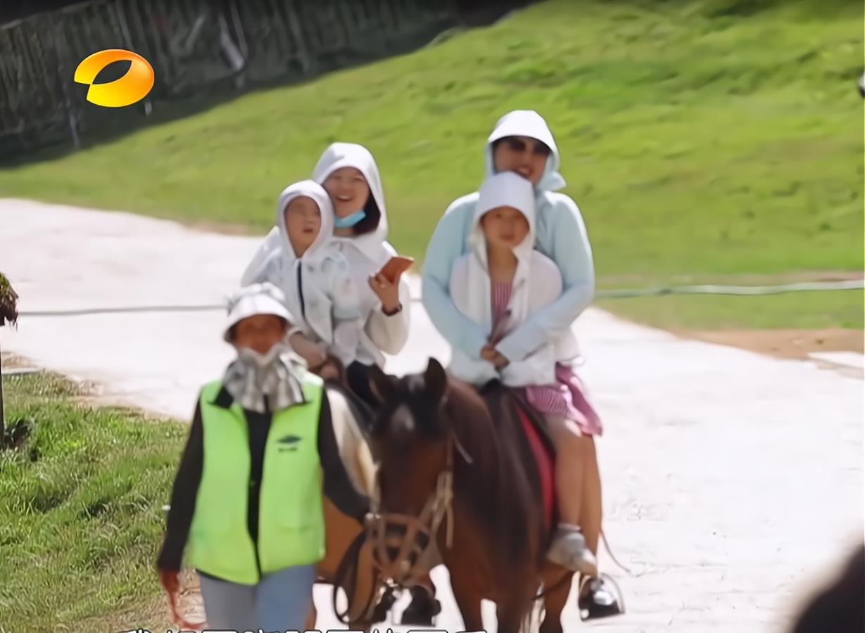 那英|《中餐厅6》贵到离谱难接受,西瓜50元一个,黑天鹅甜品68元一盘