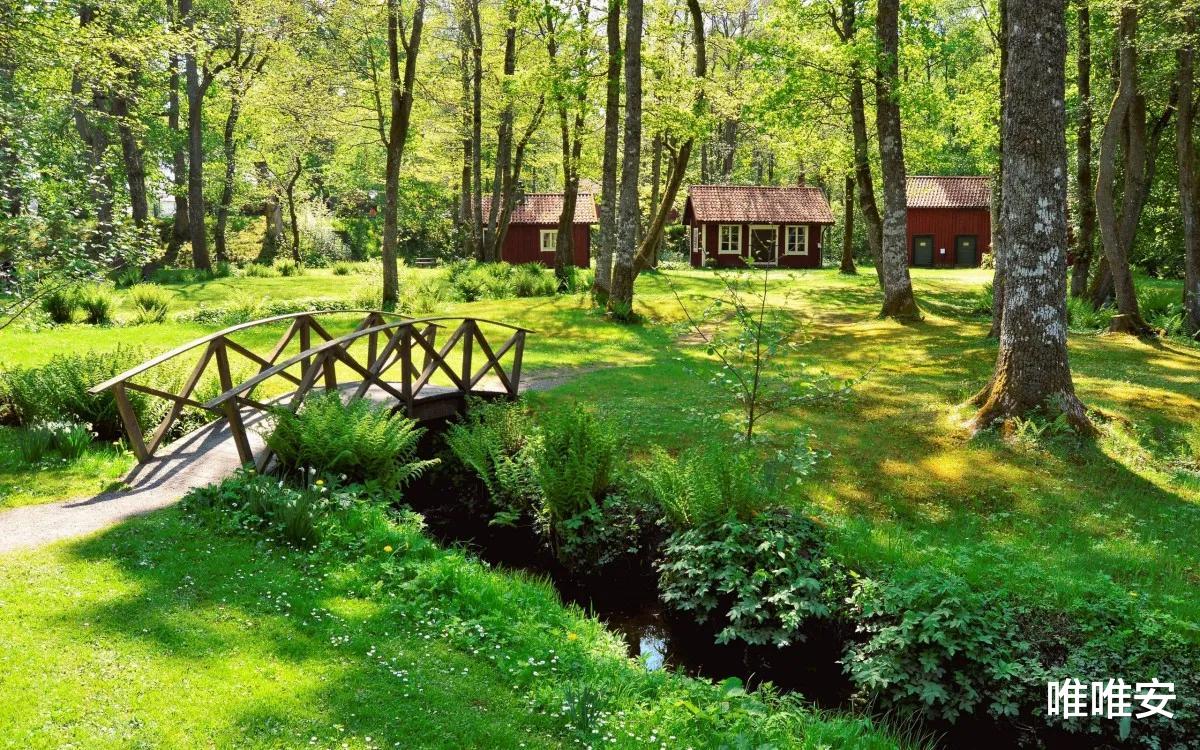 |在单位,活得太“真”的老实人,很吃亏