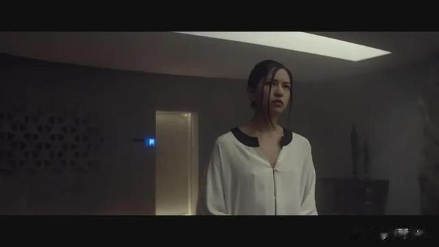 伊娃|“砍妹”维坎德牺牲最大的两部电影