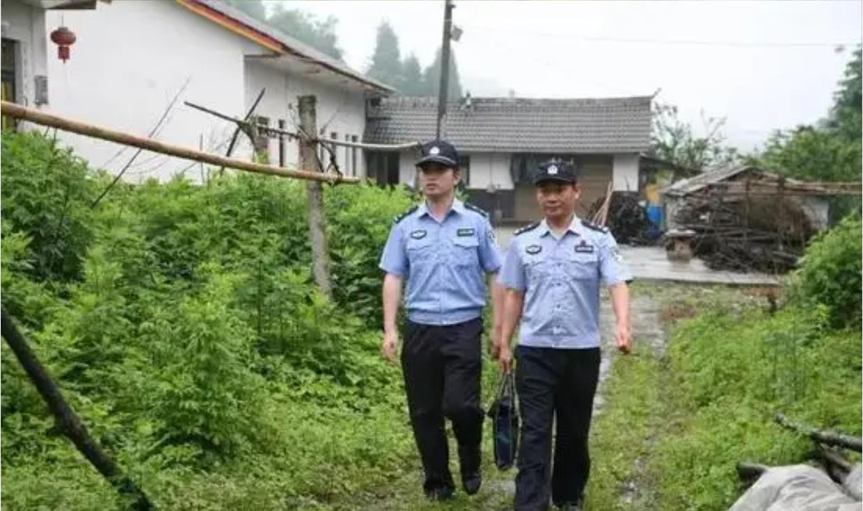 2018年,湖北废弃养鸡场泥土变白色,引警方怀疑,牵出2亿惊天案