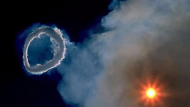 森林公园|40个让人敬畏的巨物