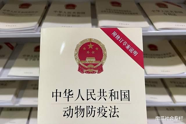 舞蹈老师公共场所遛狗不牵绳,路人提醒被围攻后续:舞馆被迫歇业