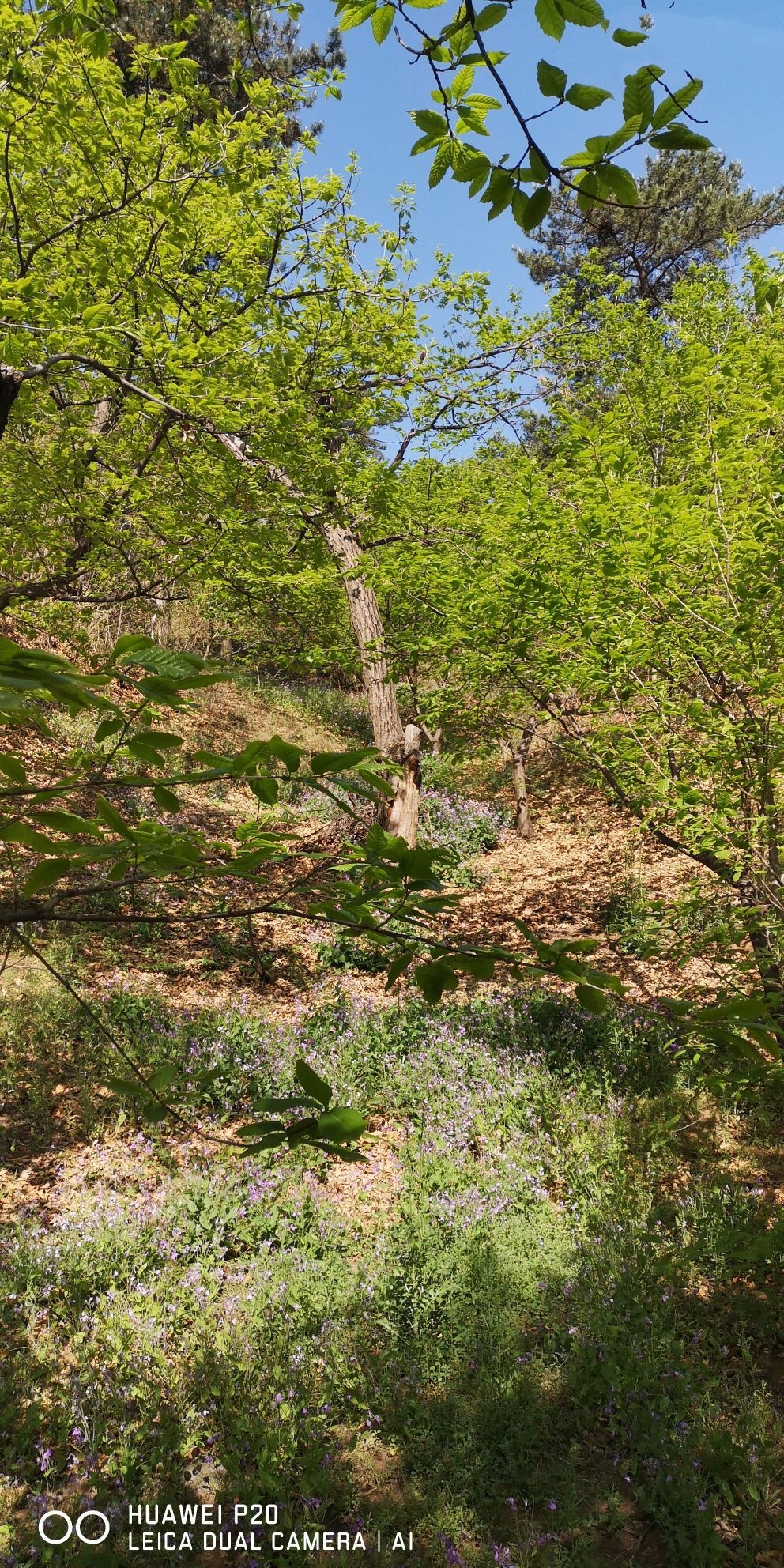露营|戏水爬山两不误，垂钓露营能小憩，延寿寺遛娃攻略