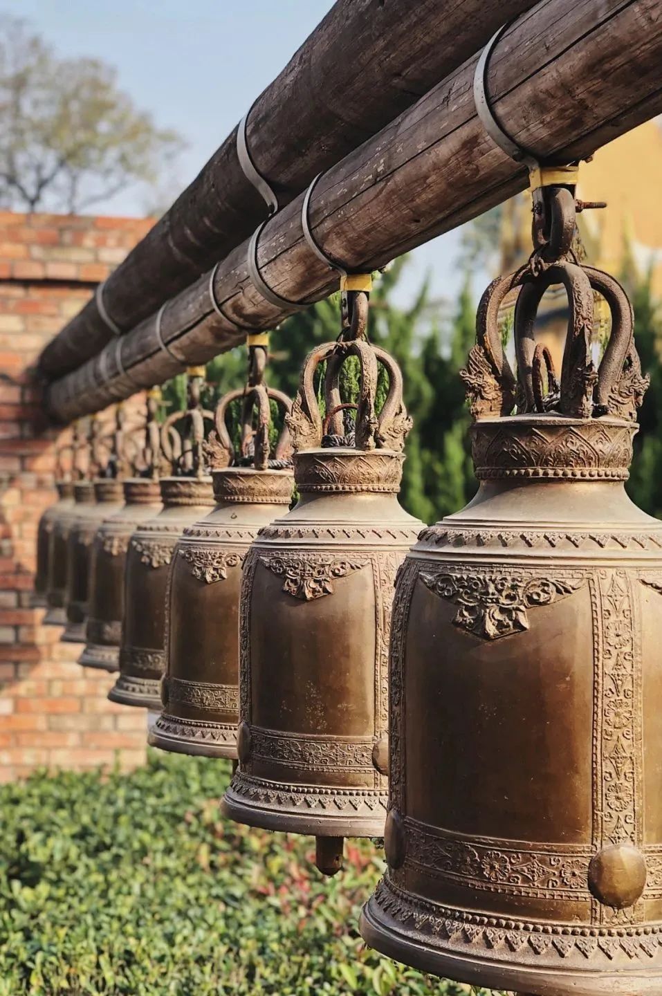 洛阳|中国唯一上榜!2023全球最佳旅行地出炉,低调的它终于被世界看到